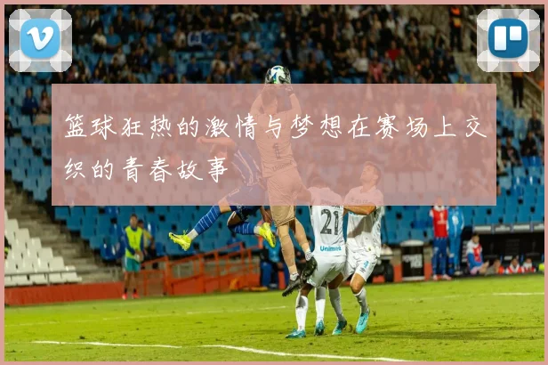 篮球狂热的激情与梦想在赛场上交织的青春故事