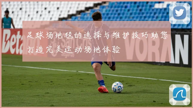 足球场地毯的选择与维护技巧助您打造完美运动场地体验