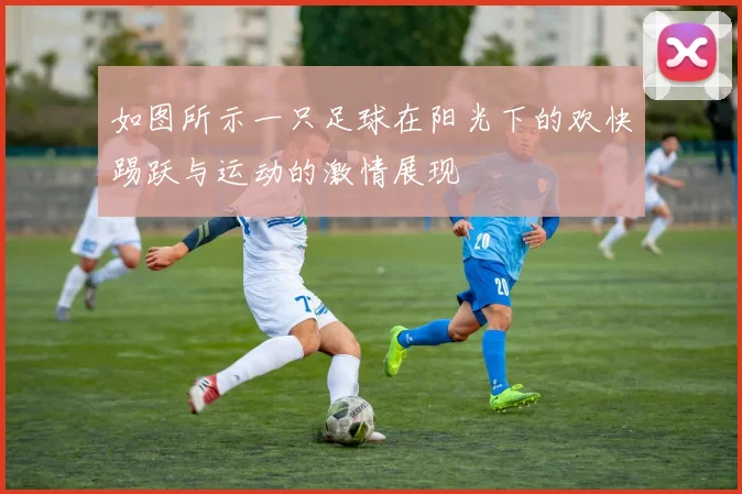 如图所示一只足球在阳光下的欢快踢跃与运动的激情展现