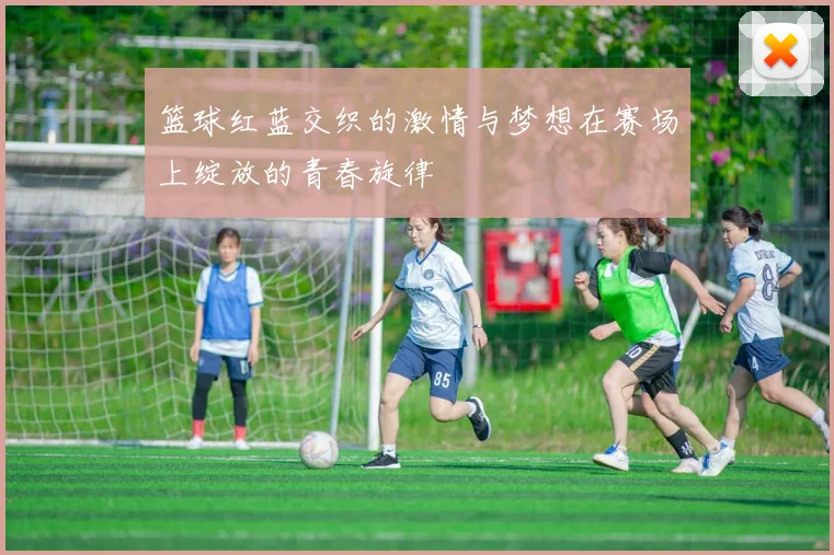篮球红蓝交织的激情与梦想在赛场上绽放的青春旋律